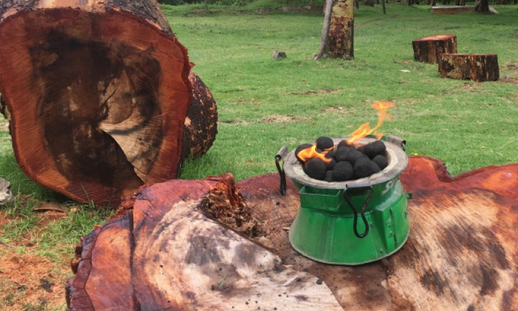 Cleaner-burning biomass fuel briquettes produced by Sanivation to replace firewood or charcoal for cooking.