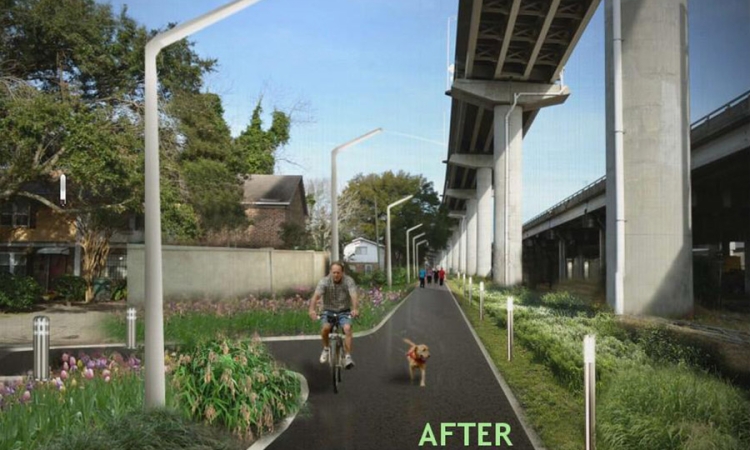 A concept of what the Charleston Lowcountry Lowline could look like once it's built. (Image: Friends of the Lowcountry Lowline)