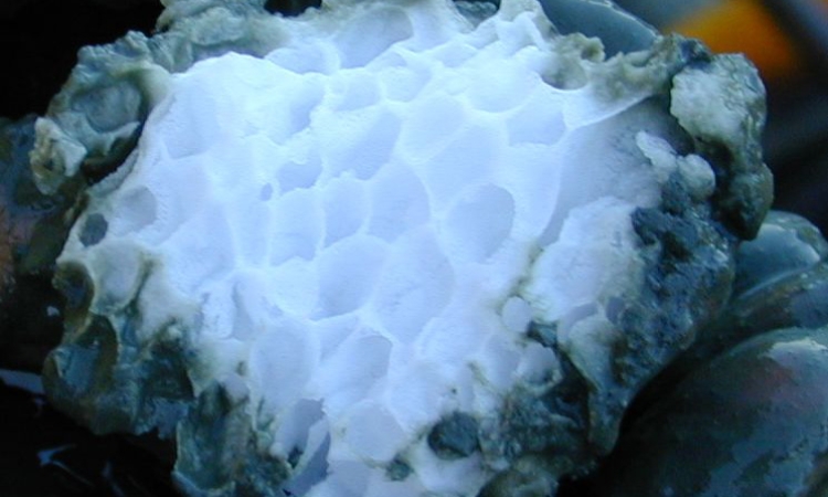 Structure of a methane clathrate block found embedded in sediment in the subduction zone off Oregon’s coast. A German research ship found this hydrate roughly 4,000 feet below the ocean’s surface in the top layer of the ocean floor. (Photo Courtesy: Wusel007 via Wikimedia Commons)